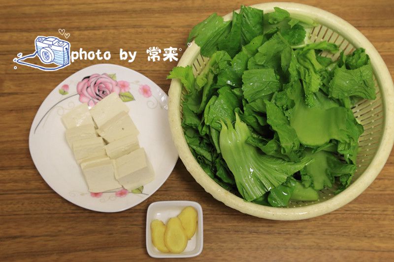 journal_insert_pic_700818042
