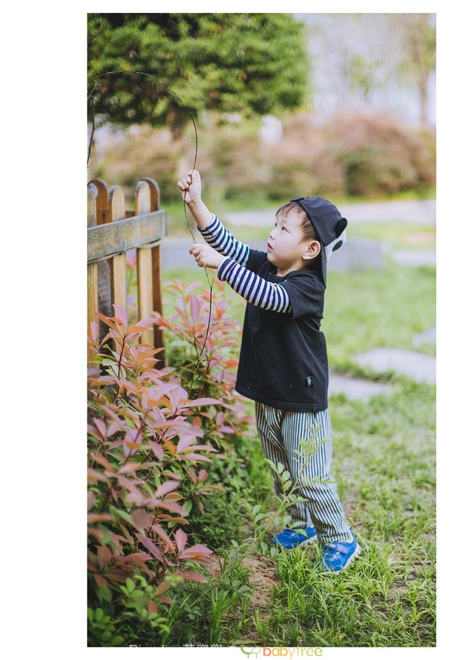 journal_insert_pic_722648104