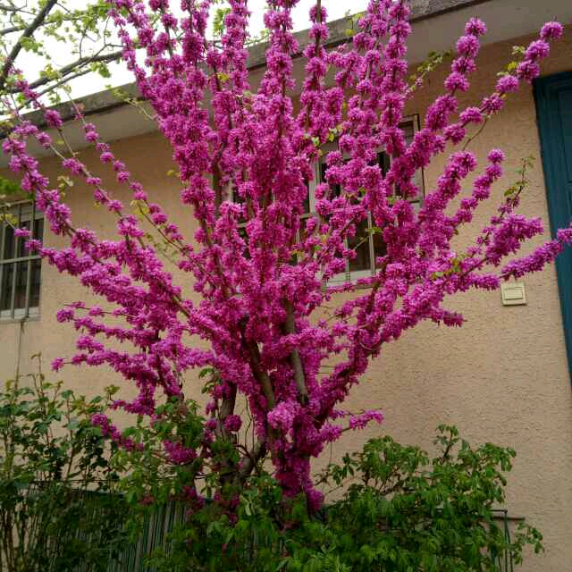 平安健康一生是福珍珍