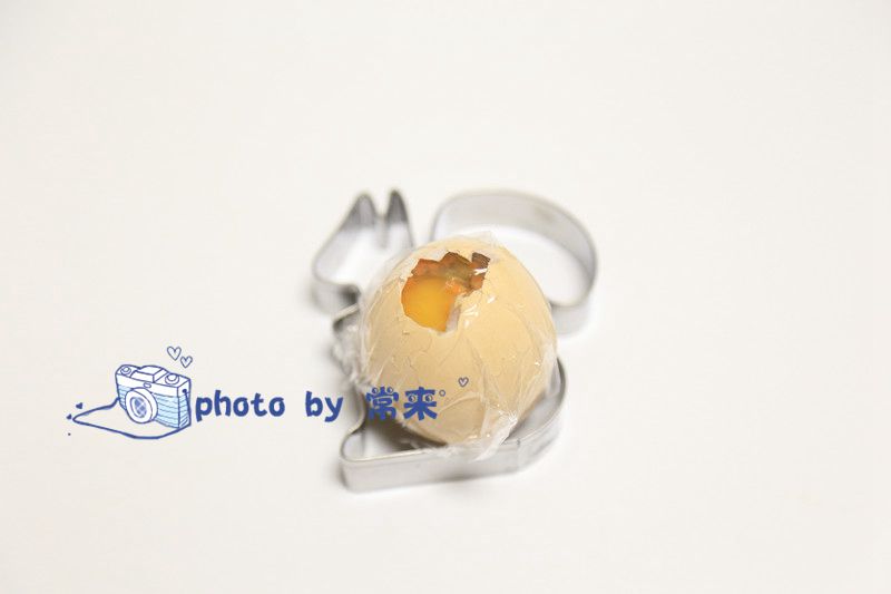 journal_insert_pic_732237069