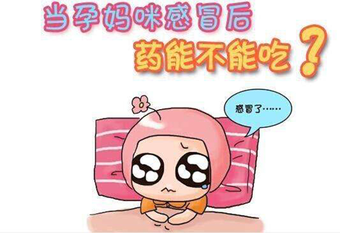 journal_insert_pic_749792082