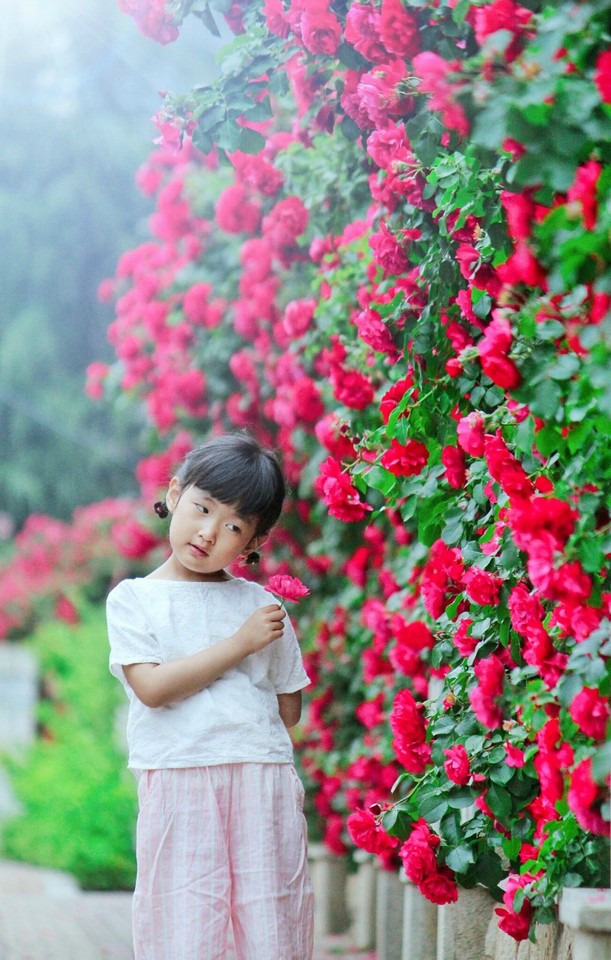 journal_insert_pic_762448334