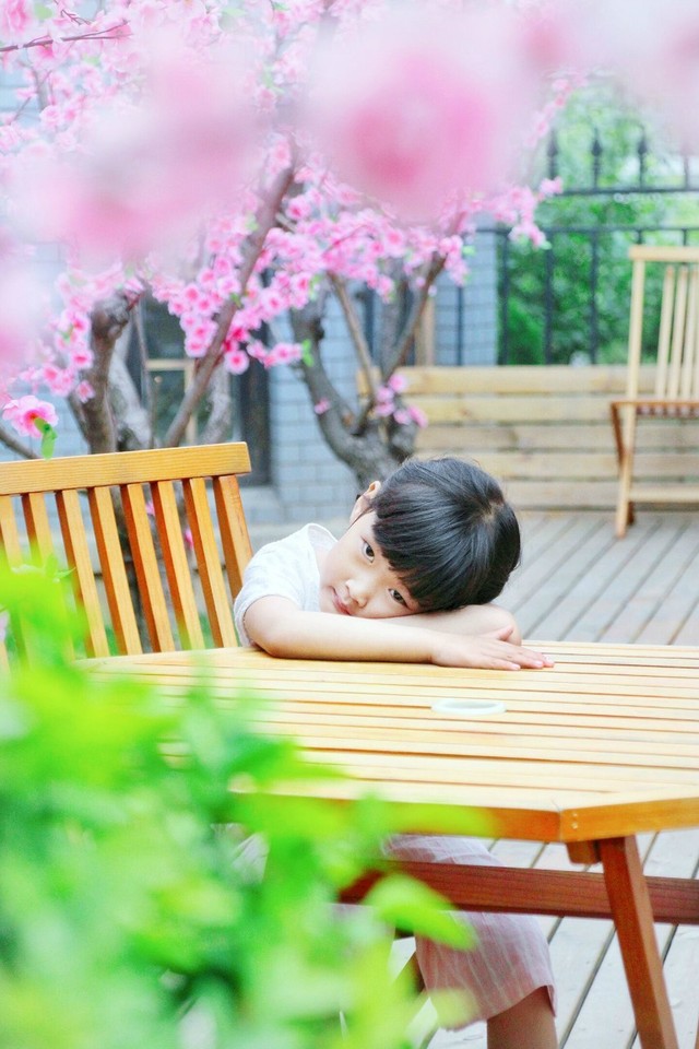journal_insert_pic_762448302