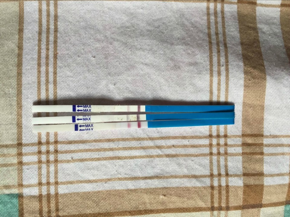 journal_insert_pic_770227718