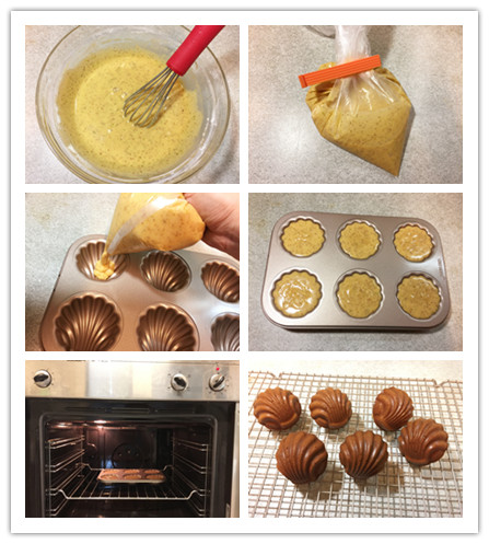 journal_insert_pic_797307442