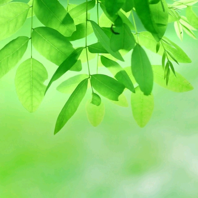 个人中心