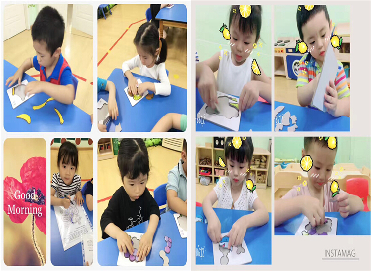 journal_insert_pic_807393571