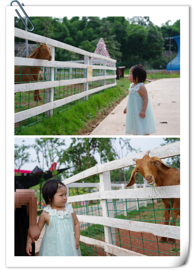 journal_insert_pic_826349094
