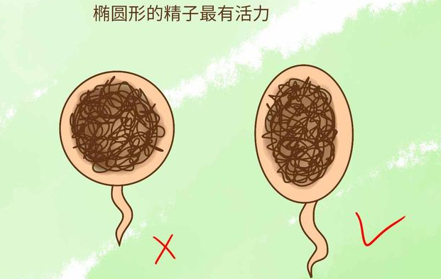 微信截图_20171208081529.png