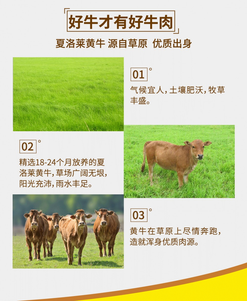 journal_insert_pic_923308017