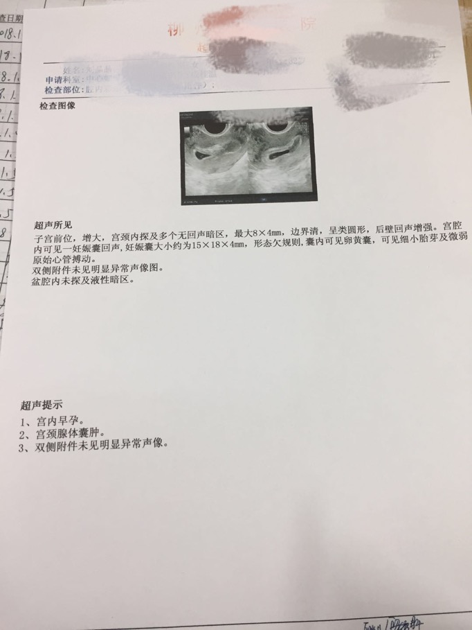 journal_insert_pic_931762311