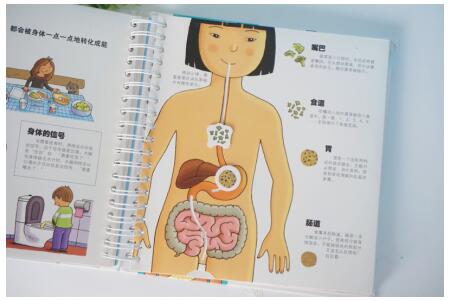 journal_insert_pic_936856534