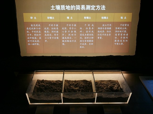 journal_insert_pic_994750810