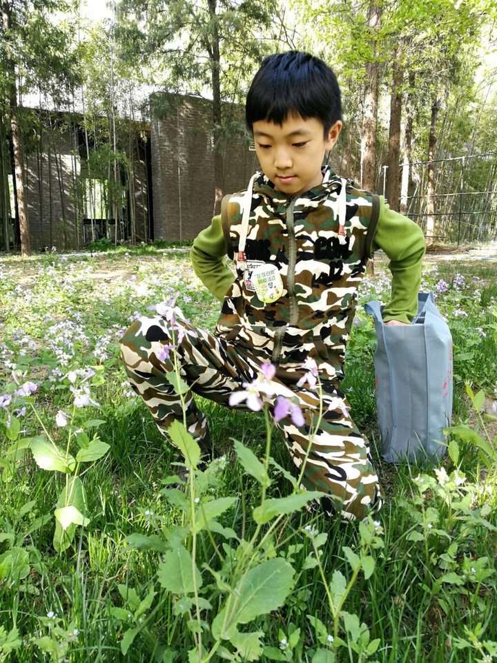 journal_insert_pic_994750585
