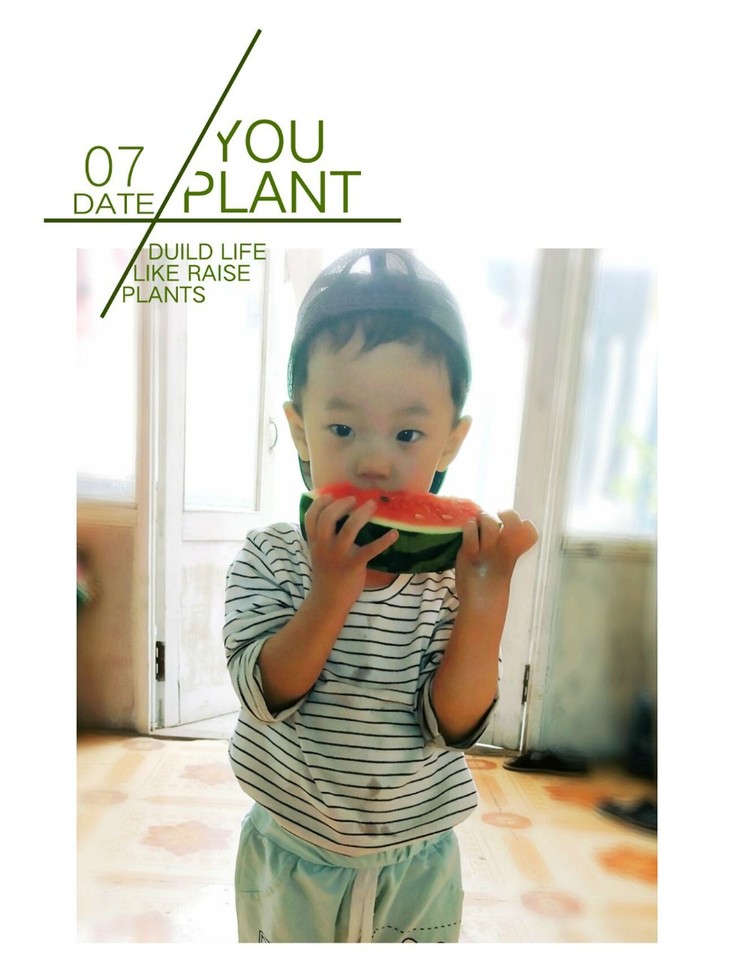 journal_insert_pic_1021905359