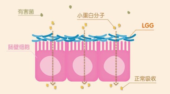 journal_insert_pic_1051174592