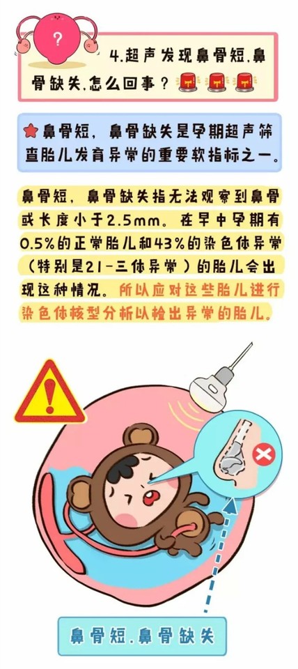 journal_insert_pic_1083698305