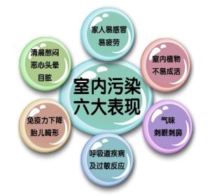 journal_insert_pic_1108596250