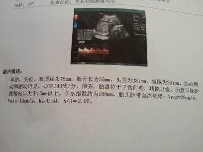 journal_insert_pic_1206590841